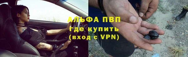 прущая мука Магас