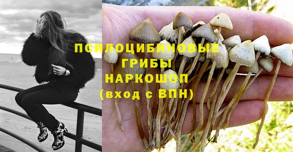 герыч Магадан
