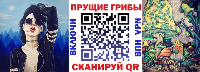 Псилоцибиновые грибы GOLDEN TEACHER  где найти наркотики  Ессентукская 